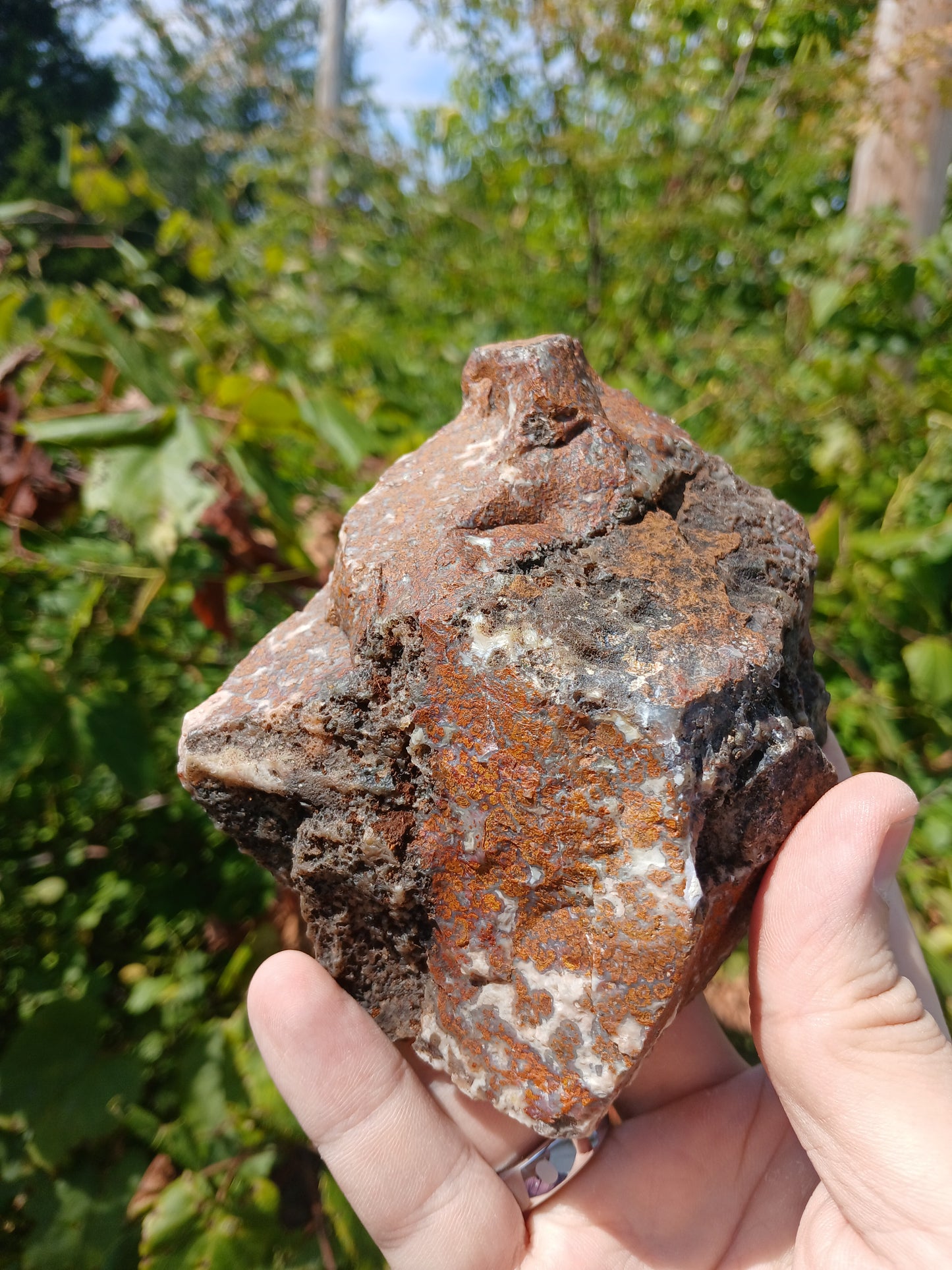 Turkish Agate Polished One Side