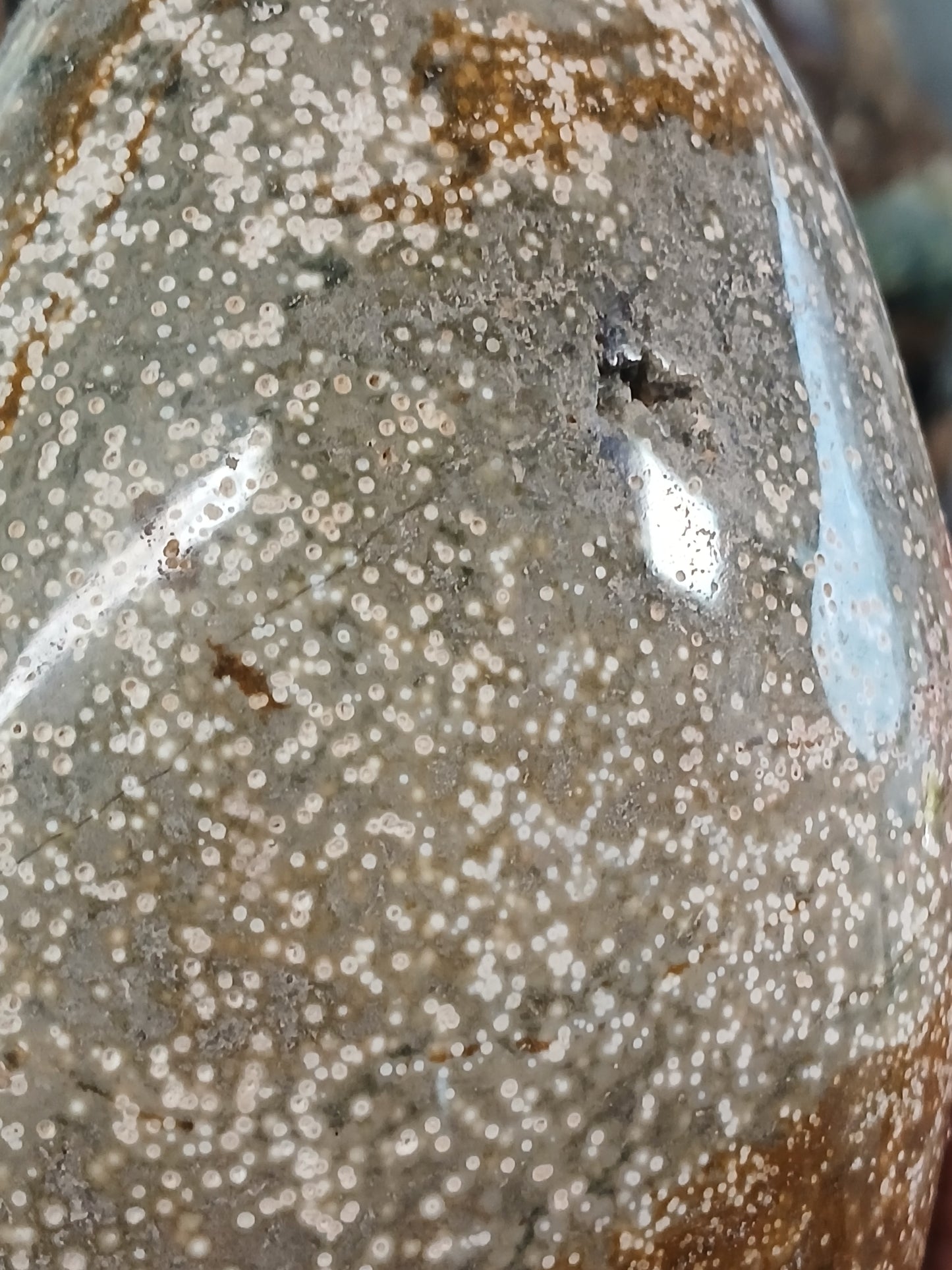Old Stock! Rare Ocean Jasper Free-form (3lbs 10 ounces)