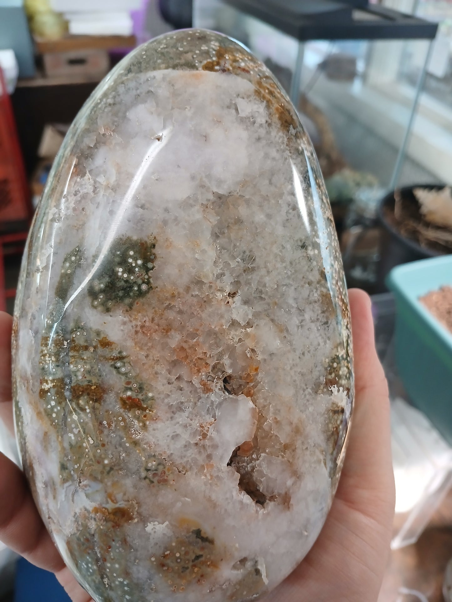 Old Stock! Rare Ocean Jasper Free-form (3lbs 10 ounces)