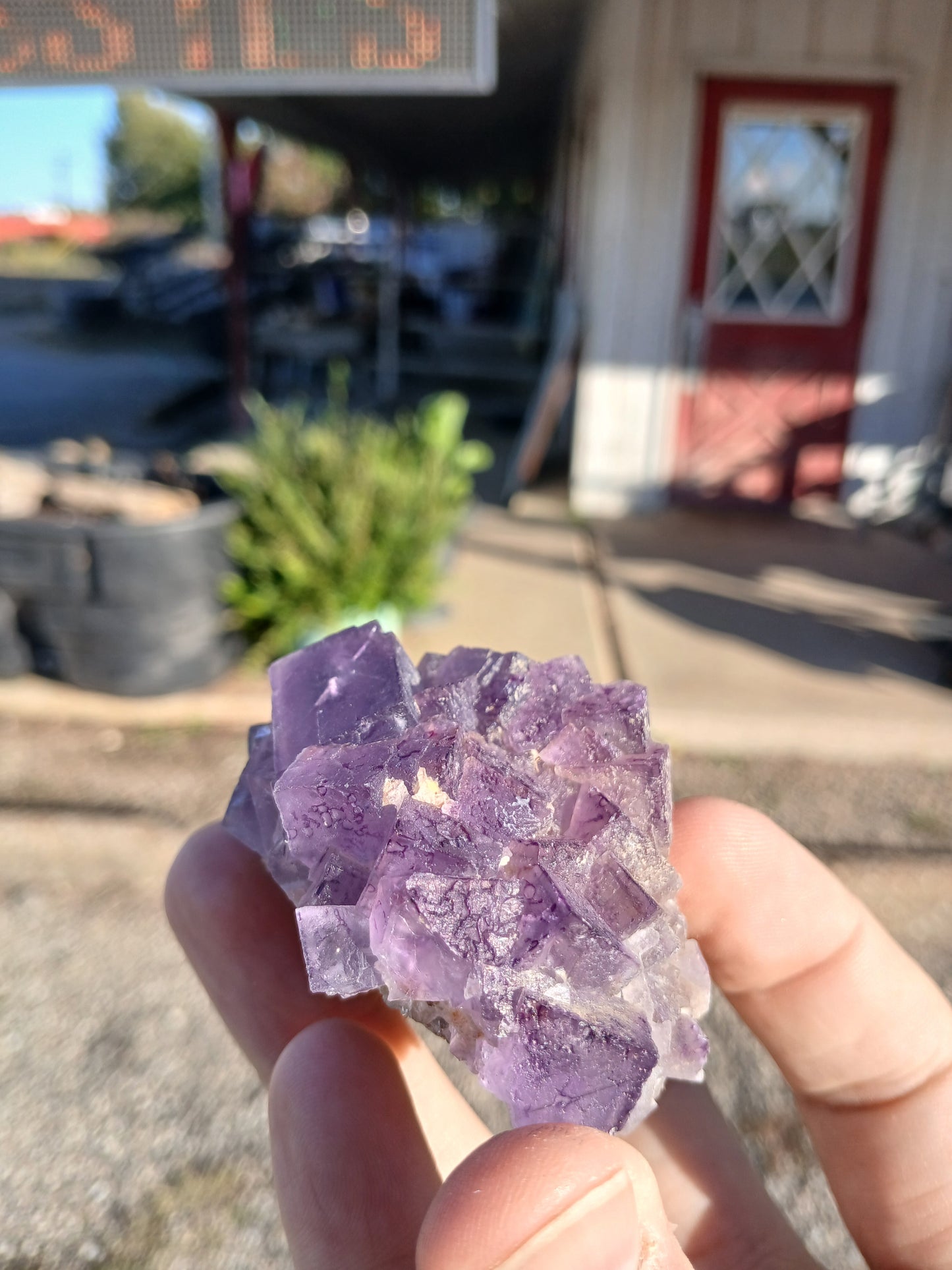 Fluorite on Matrix - New Mexico