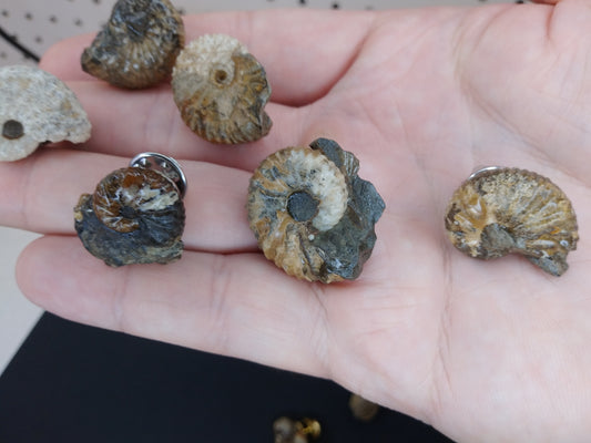 Simple Ammonite Tie Tacks (or Hat Pins)