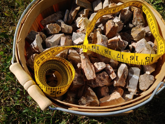 Petrified Wood - Madagascar by the pound