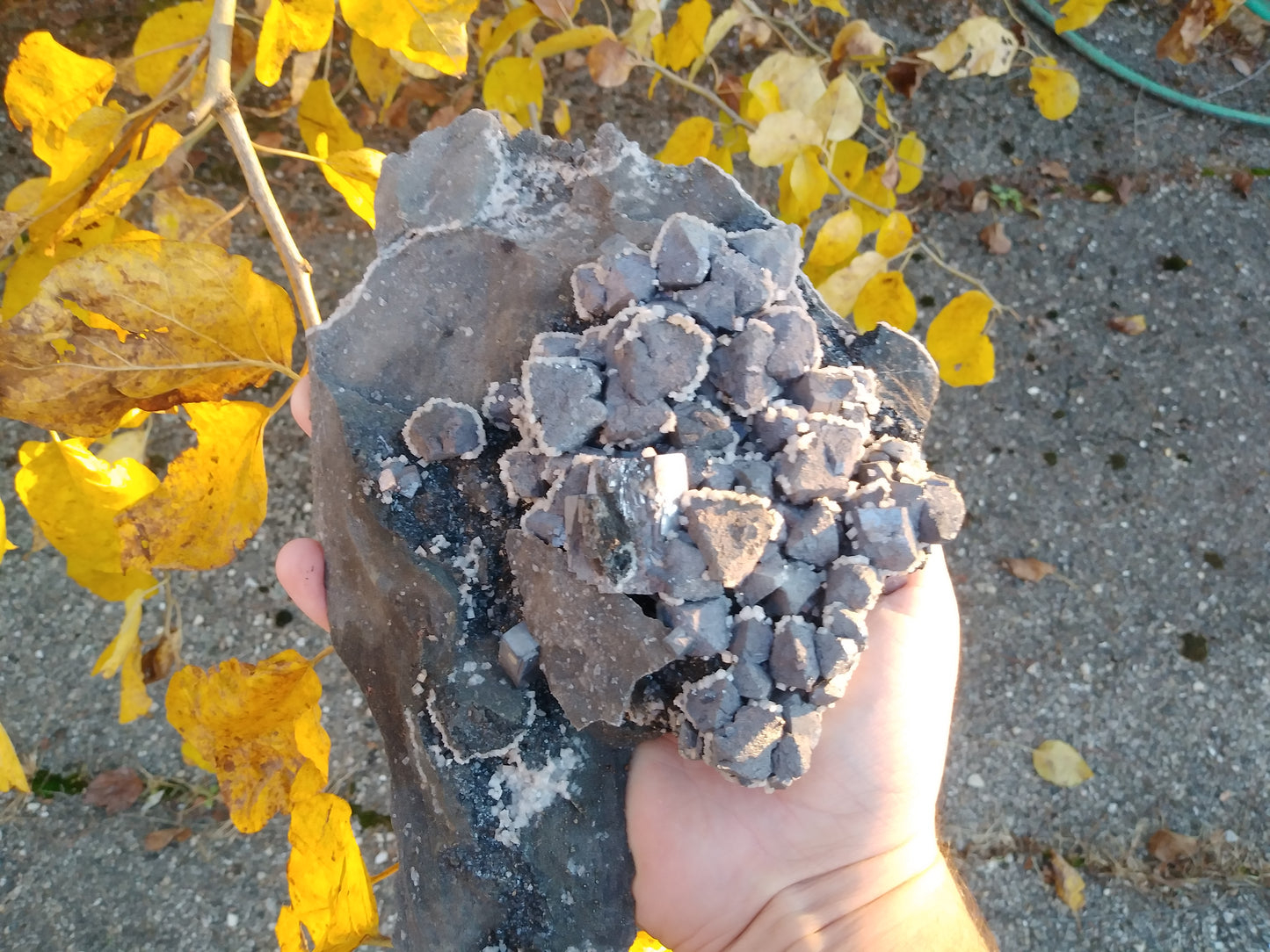 Dolomite Crusted Galena with Sphalerite