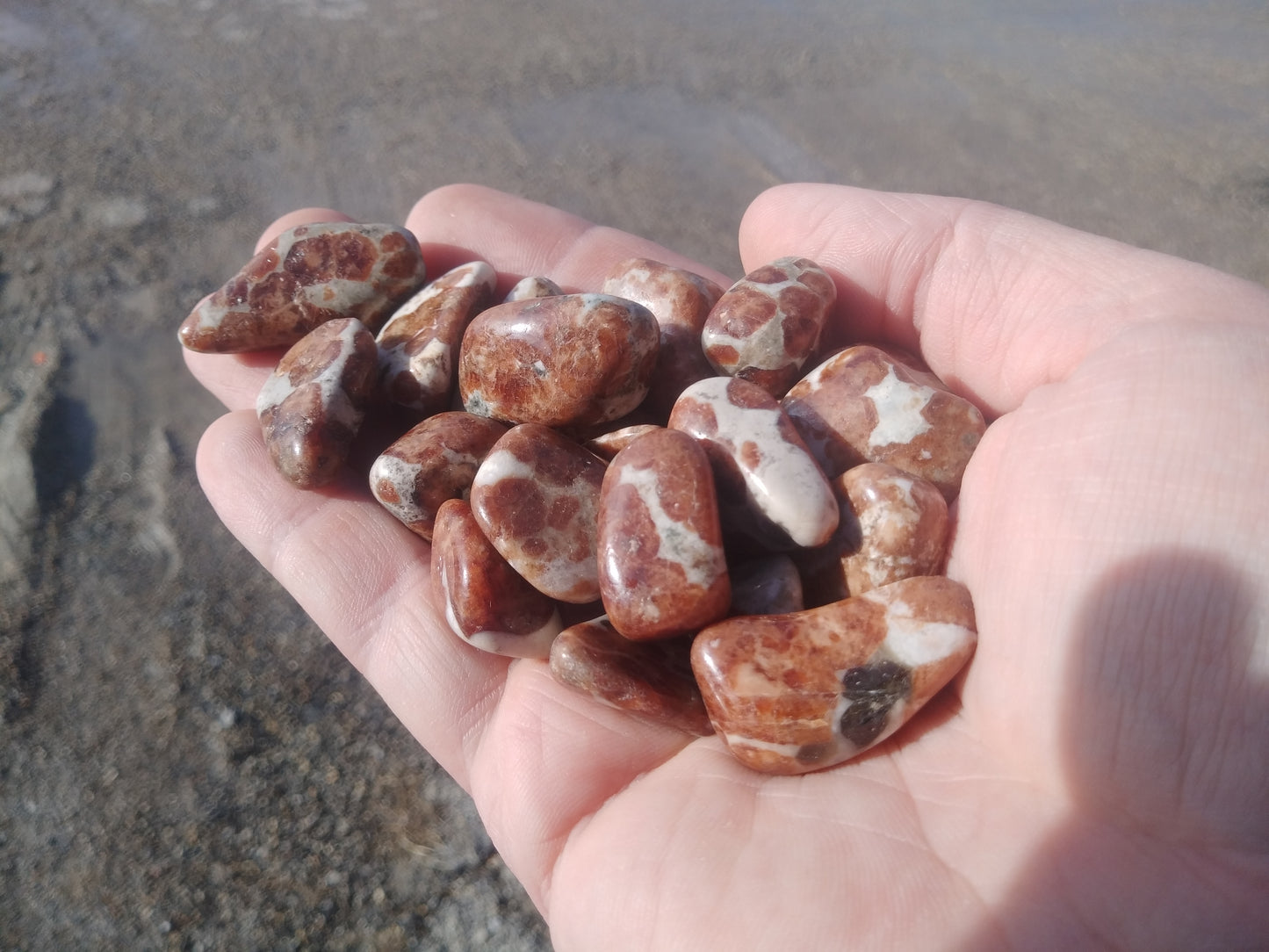 Garnets in Limestone