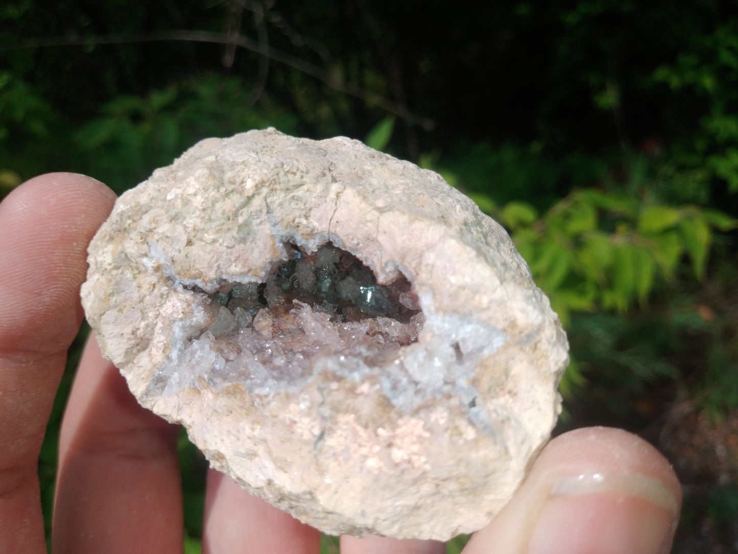 Crystal Canyon Geodes 2.25-2.5 inch