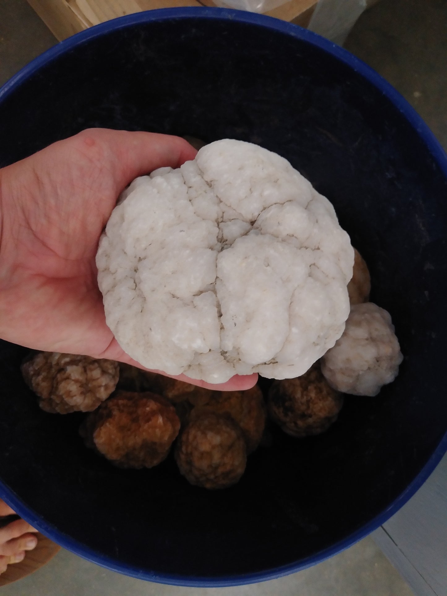 Indiana Geodes