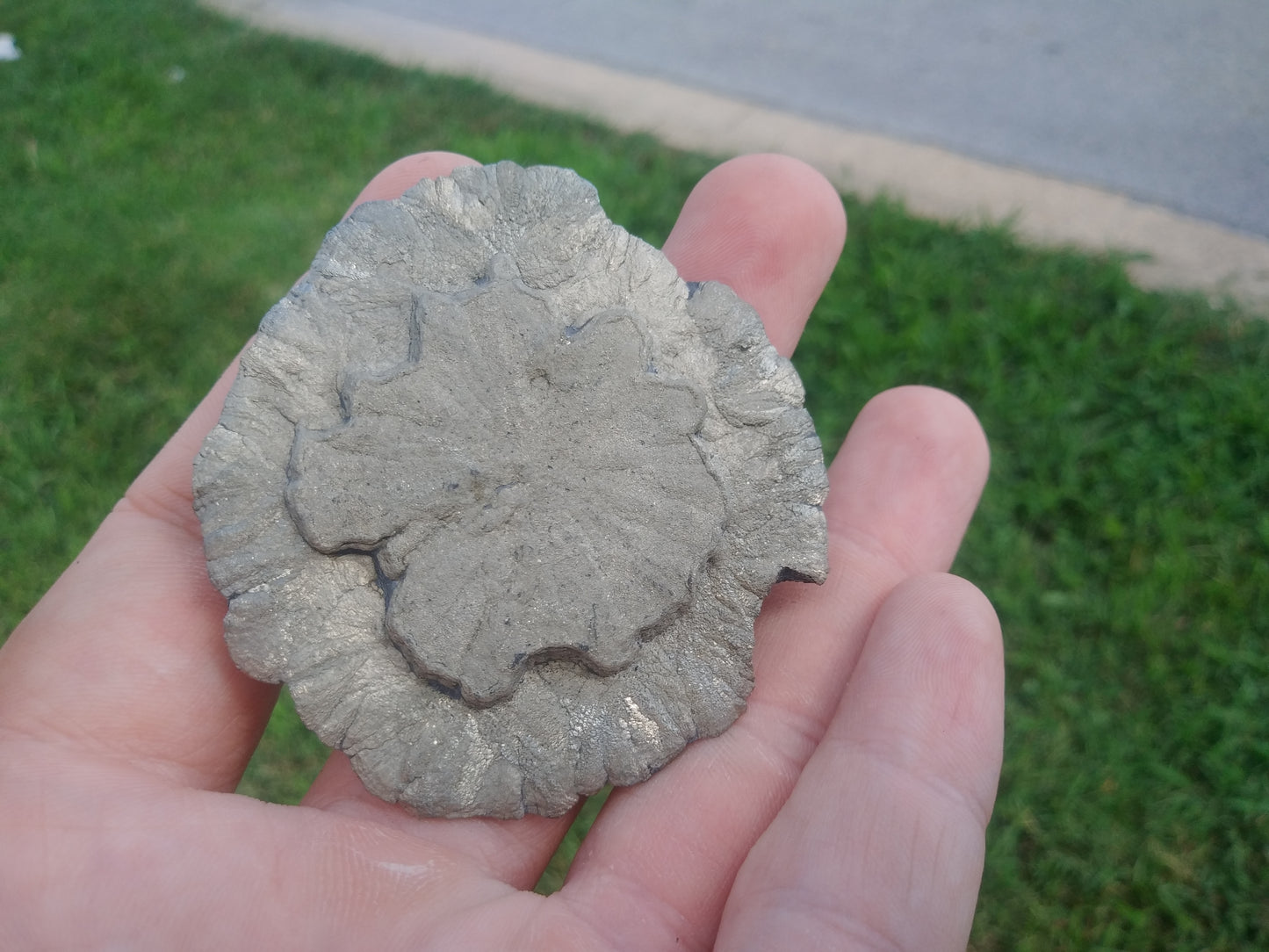 Pyrite Sun