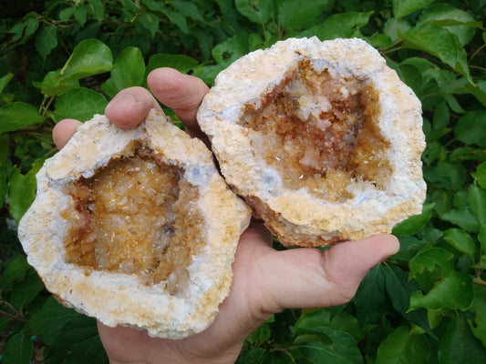 Crystal Canyon Geodes 3.5-4.0 Inches