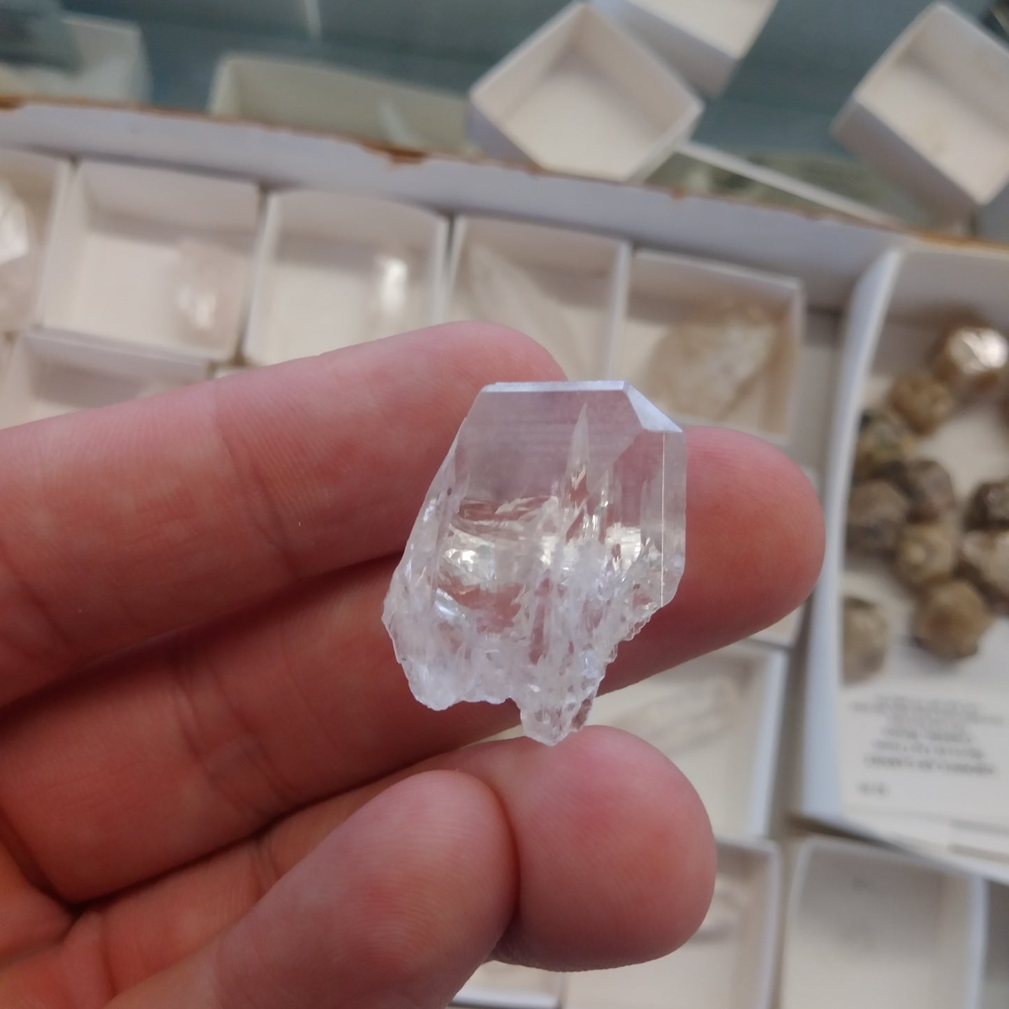 July 2023 Mineral of the Month Back Issue - Danburite