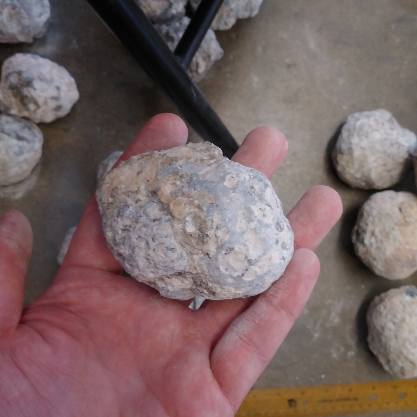 Las Trancas Geodes Small 2-2.5 Inches