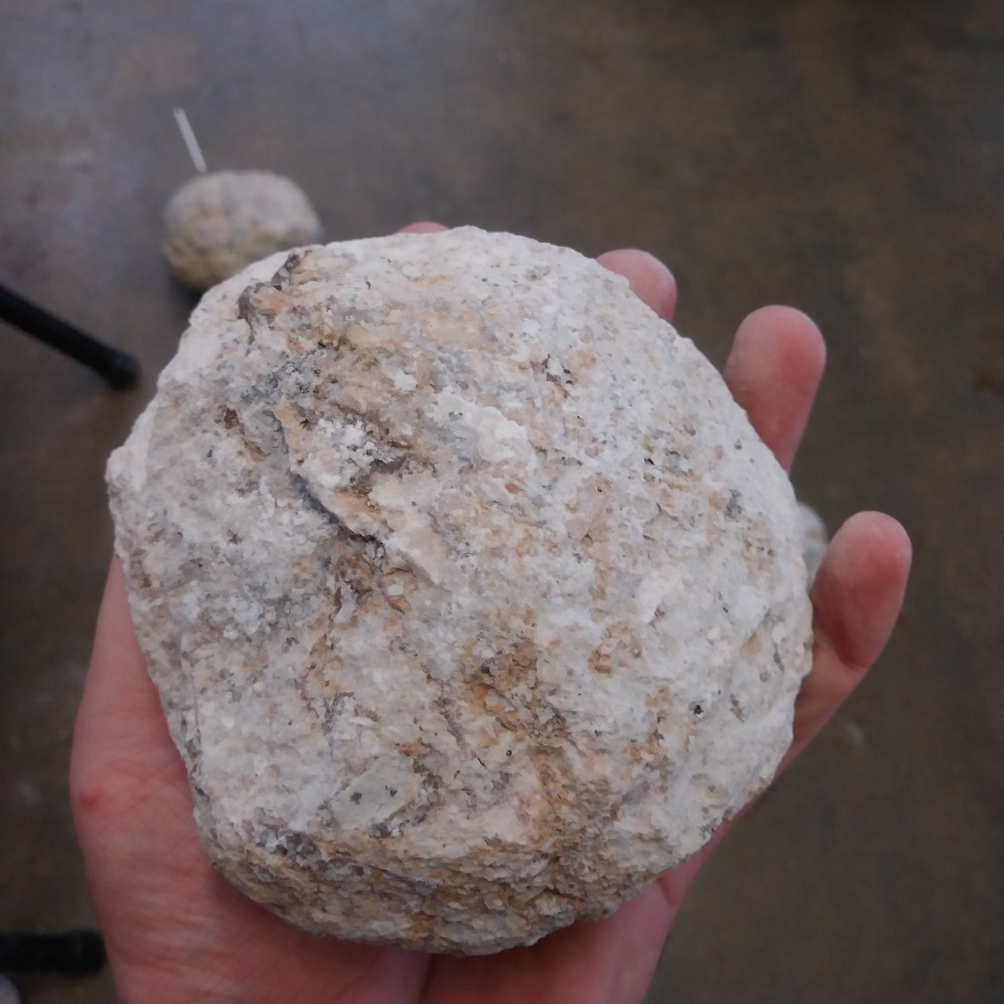Las Trancas Geodes X-Large (5ish Inches)