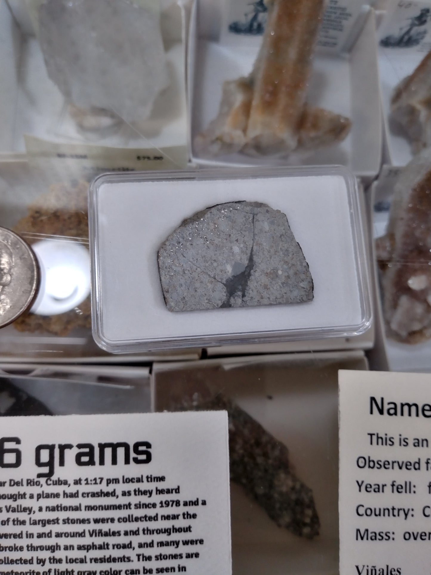 Viñales Meteorite Slice (2019 Confirmed Fall)