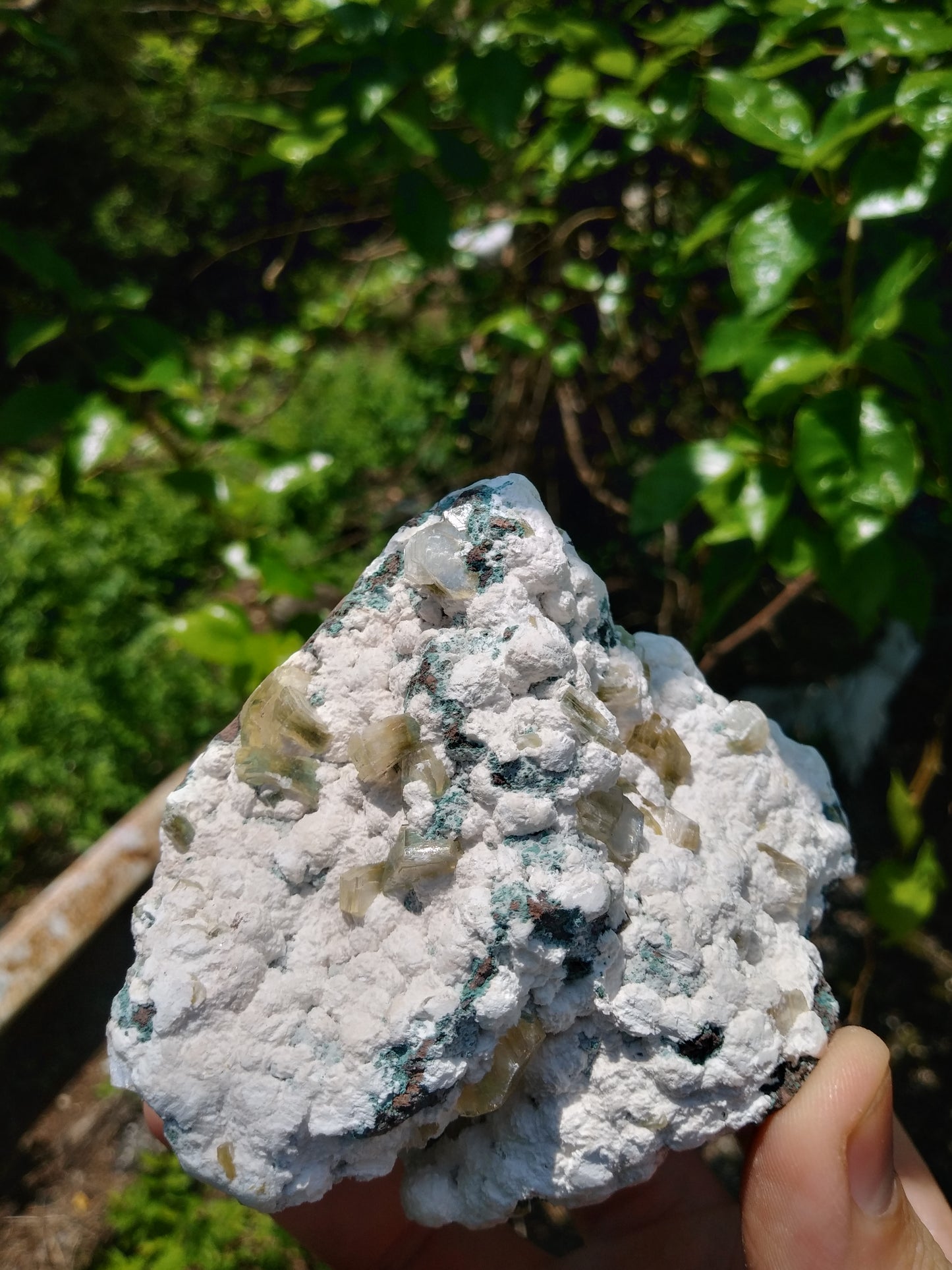 Fluorapophyllite and Okenite on Basalt