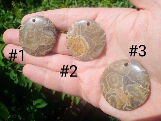 Beaded Fossil Coral Pendants - UV REACTIVE!