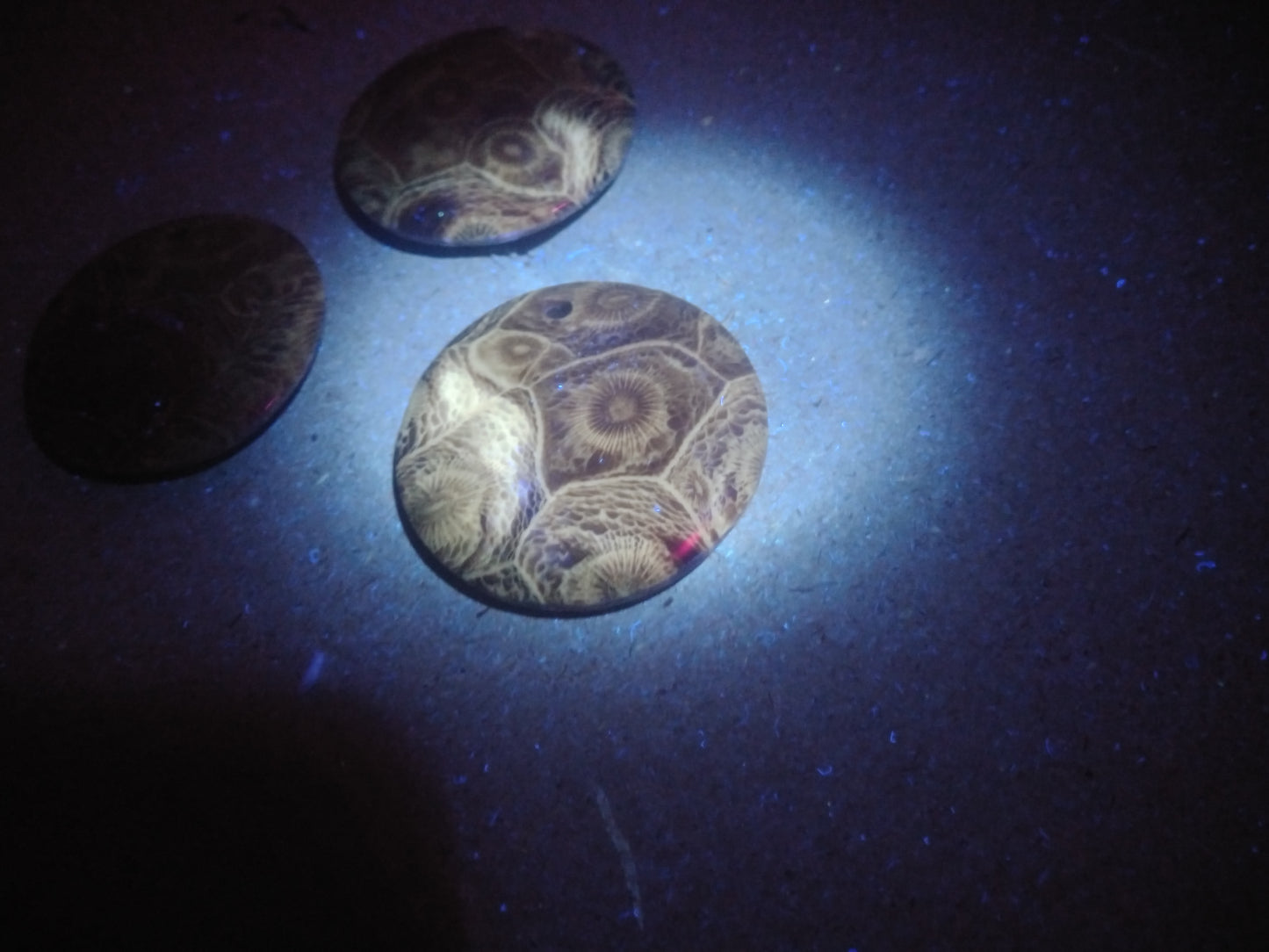 Beaded Fossil Coral Pendants - UV REACTIVE!
