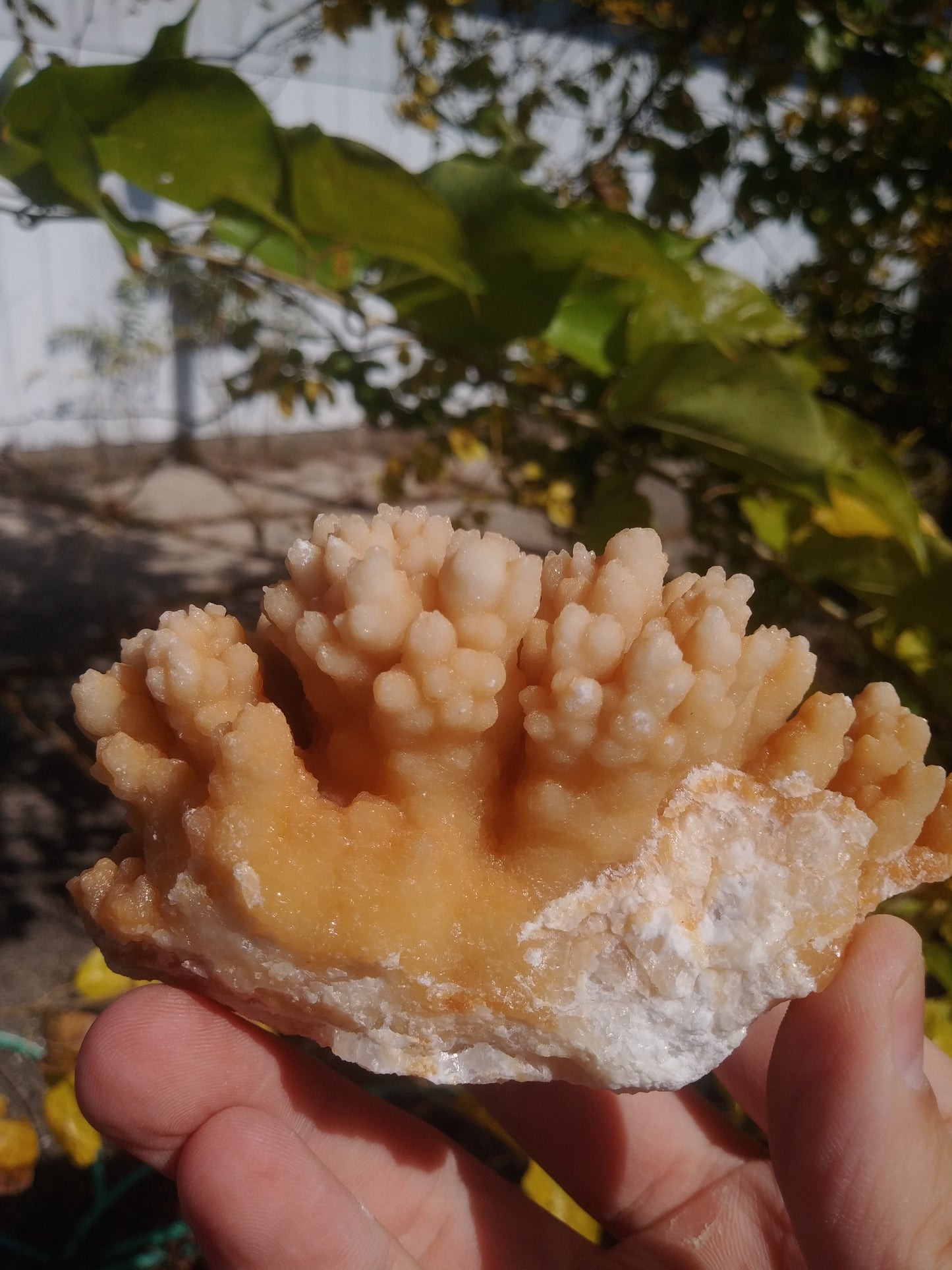 Aragonite Cave Crystals From Morocco