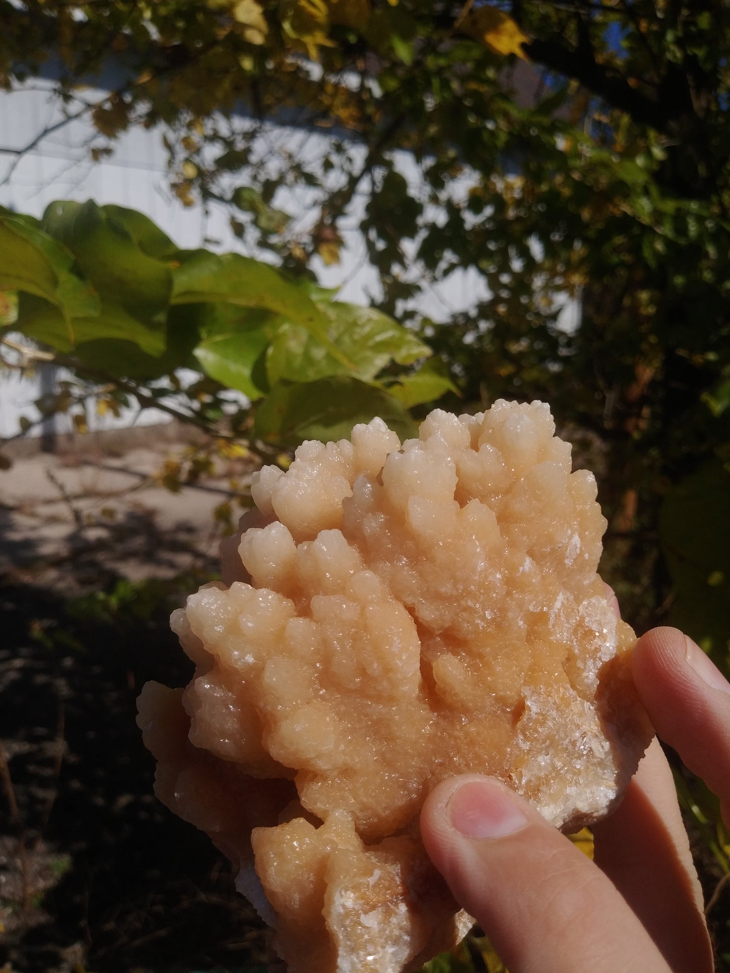 Aragonite Cave Crystals From Morocco