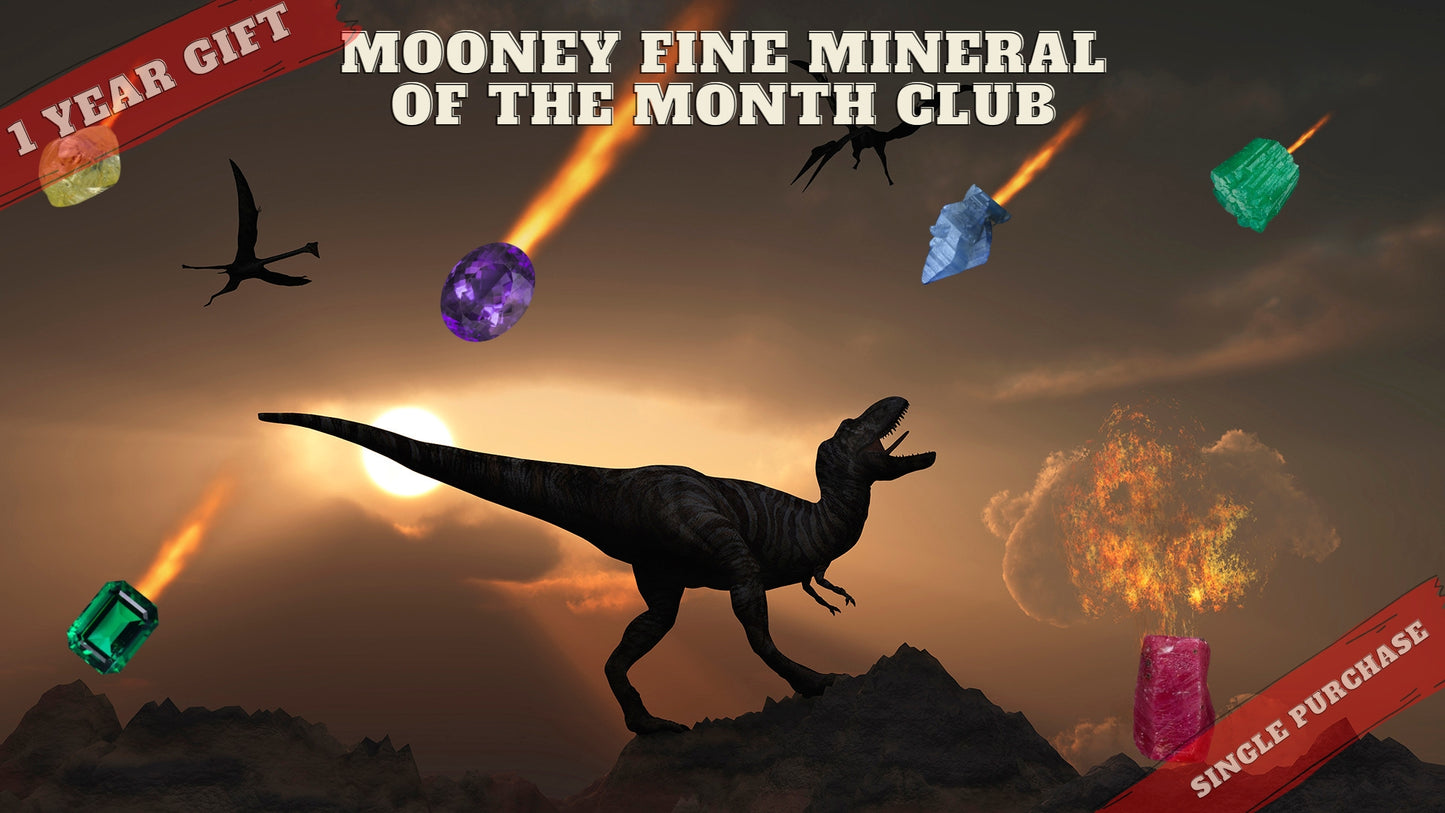 1 Year Gift Subscription To The Mooney Fine Mineral of the Month Club (Jan-Dec 2024)