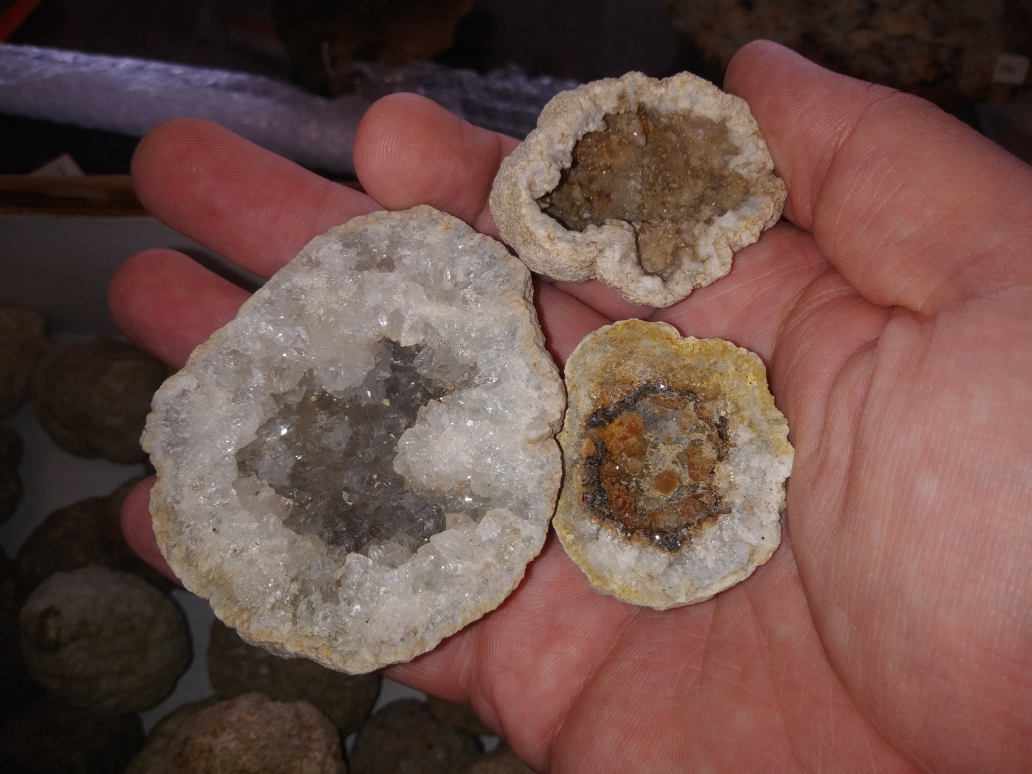 4 Uncracked Warsaw Formation Geodes (1-2 Inches)