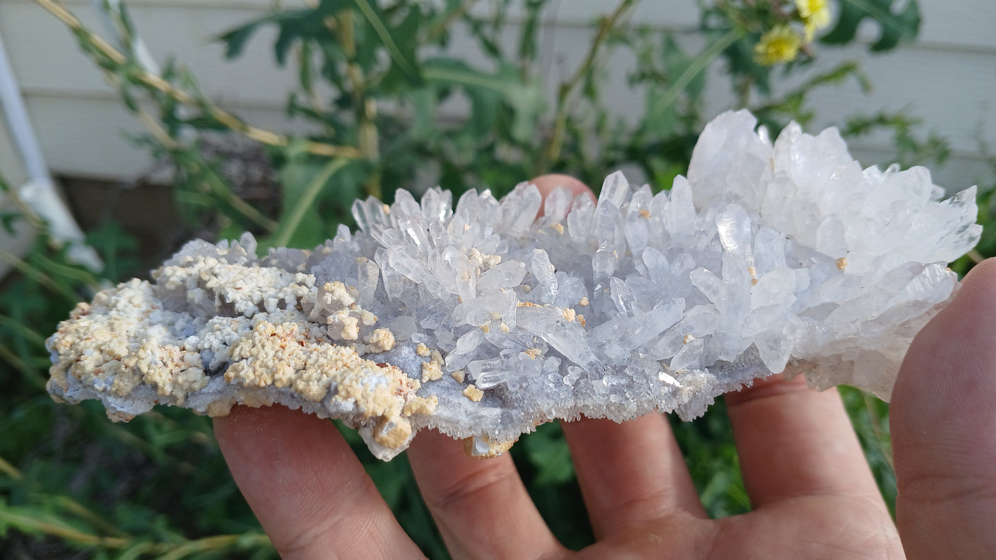 Quartz Sceptors With Various Pseudomorphs