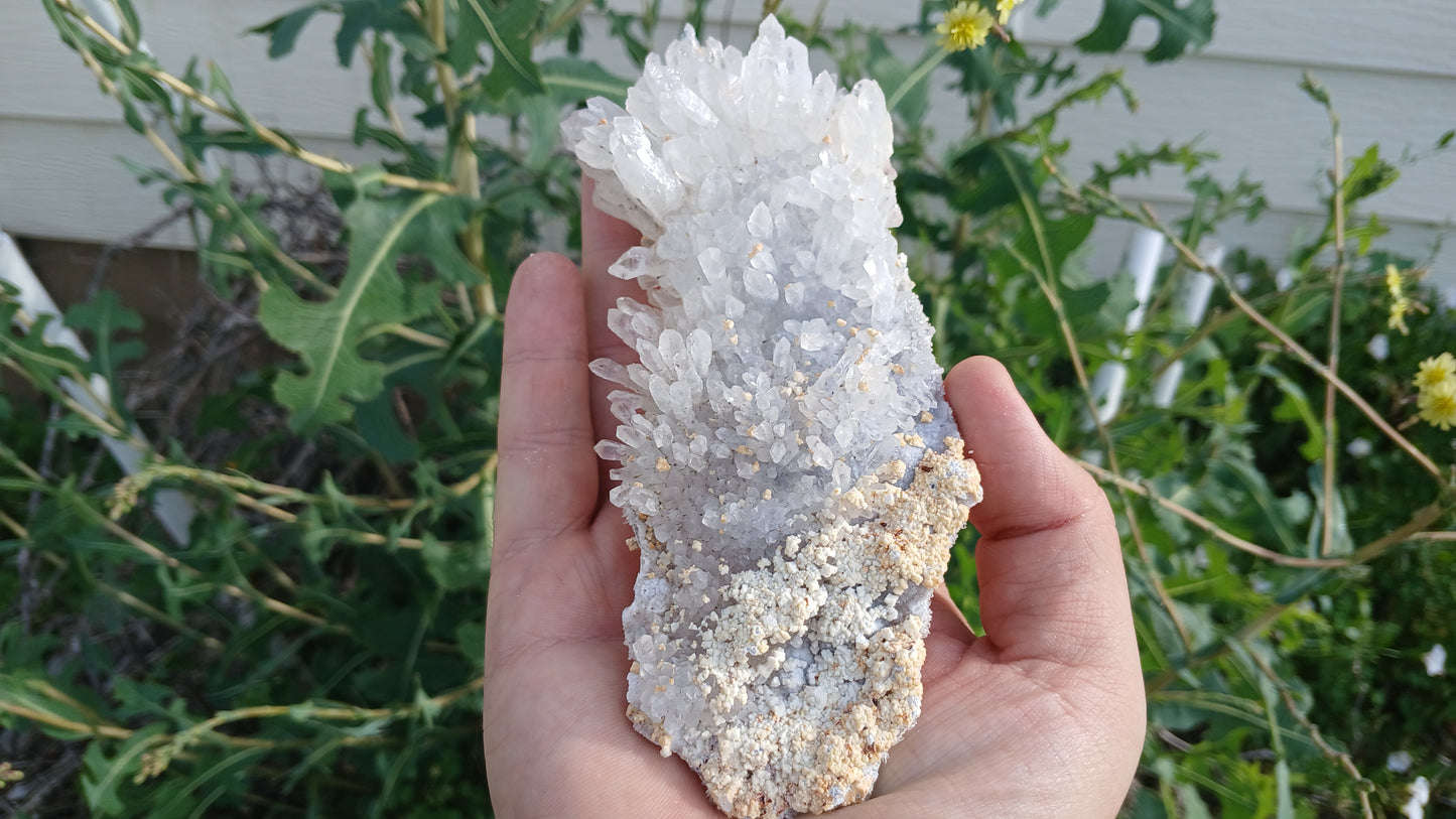 Quartz Sceptors With Various Pseudomorphs