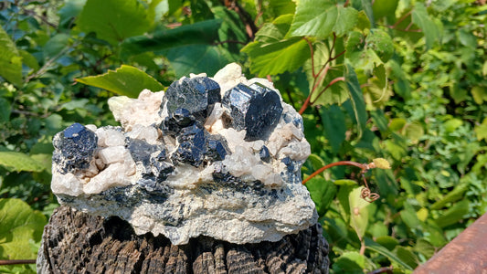 Schorl Tourmaline On Quartz From Erongo Namibia