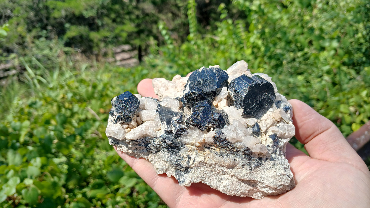 Schorl Tourmaline On Quartz From Erongo Namibia