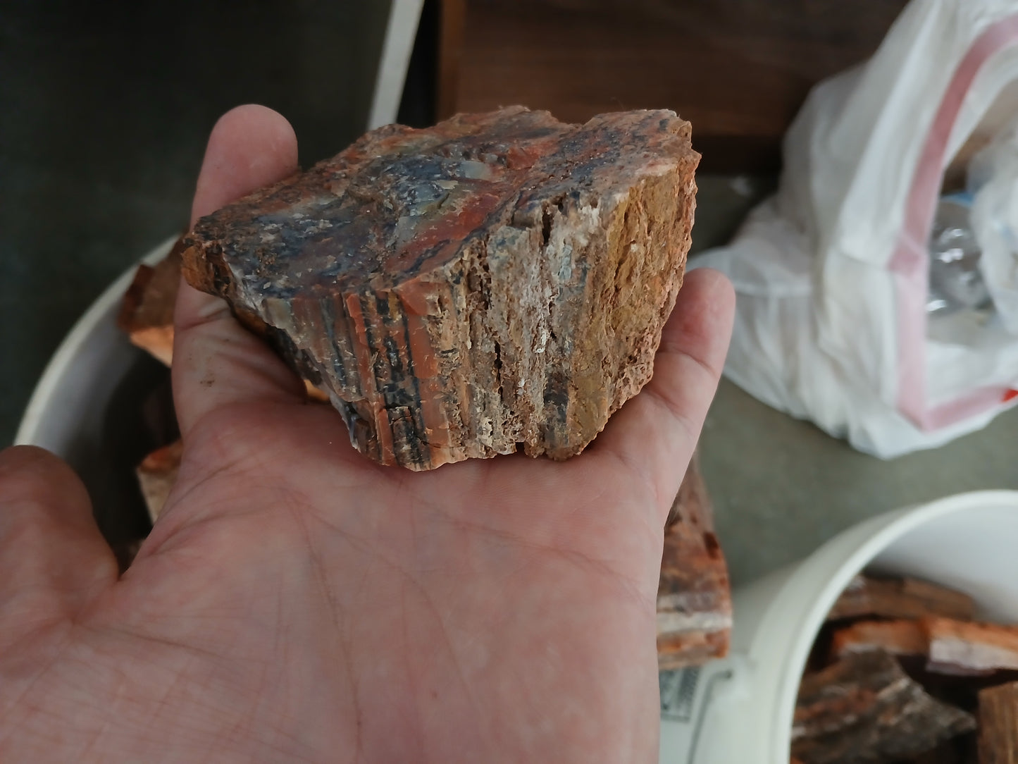 5lb Lots of Arizona Petrified Wood