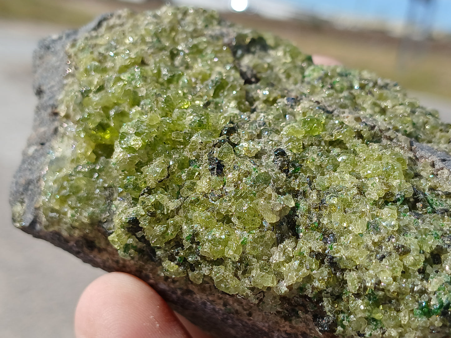 Bright Green Peridot on Basalt