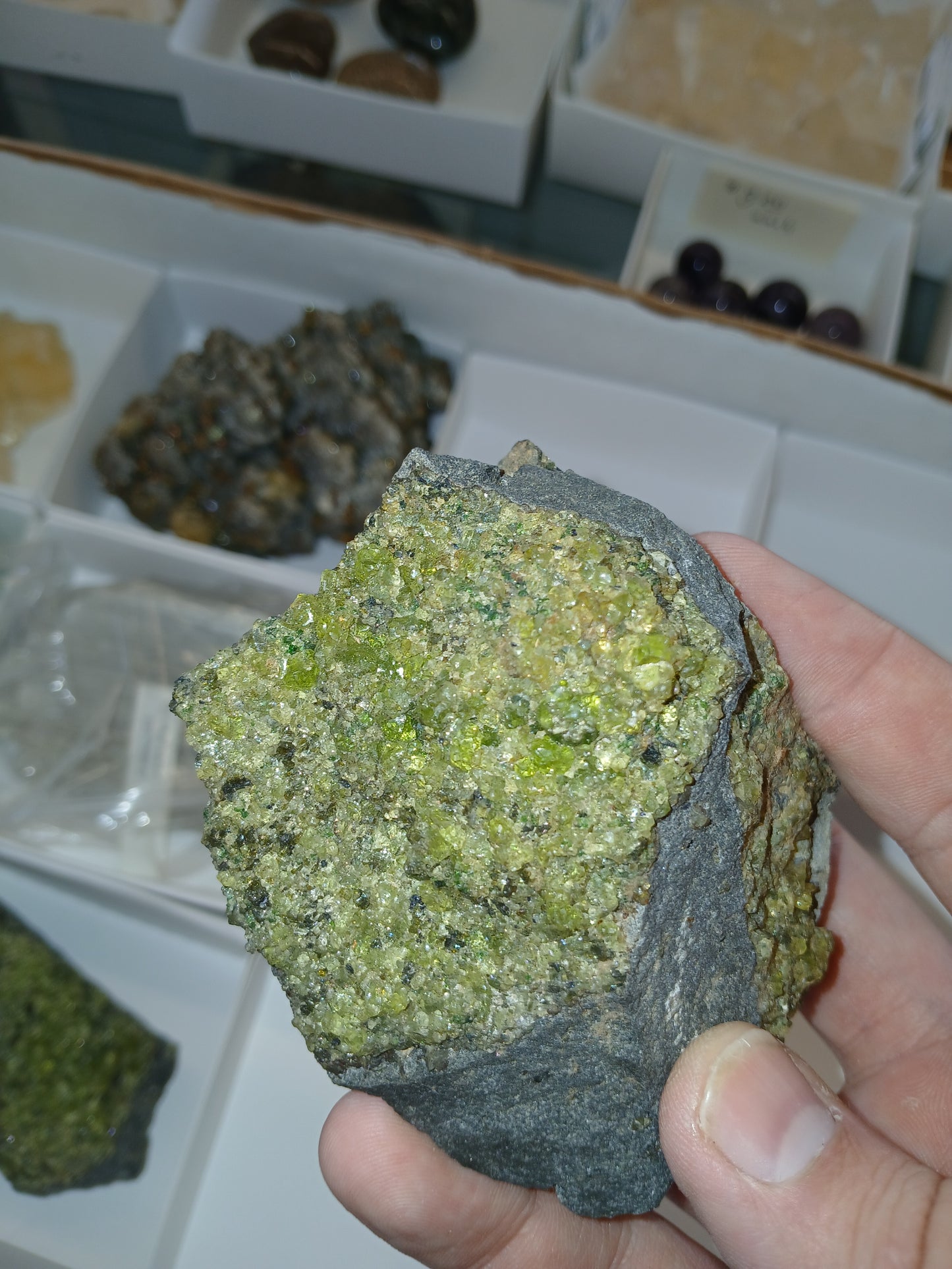 Bright Green Peridot on Basalt