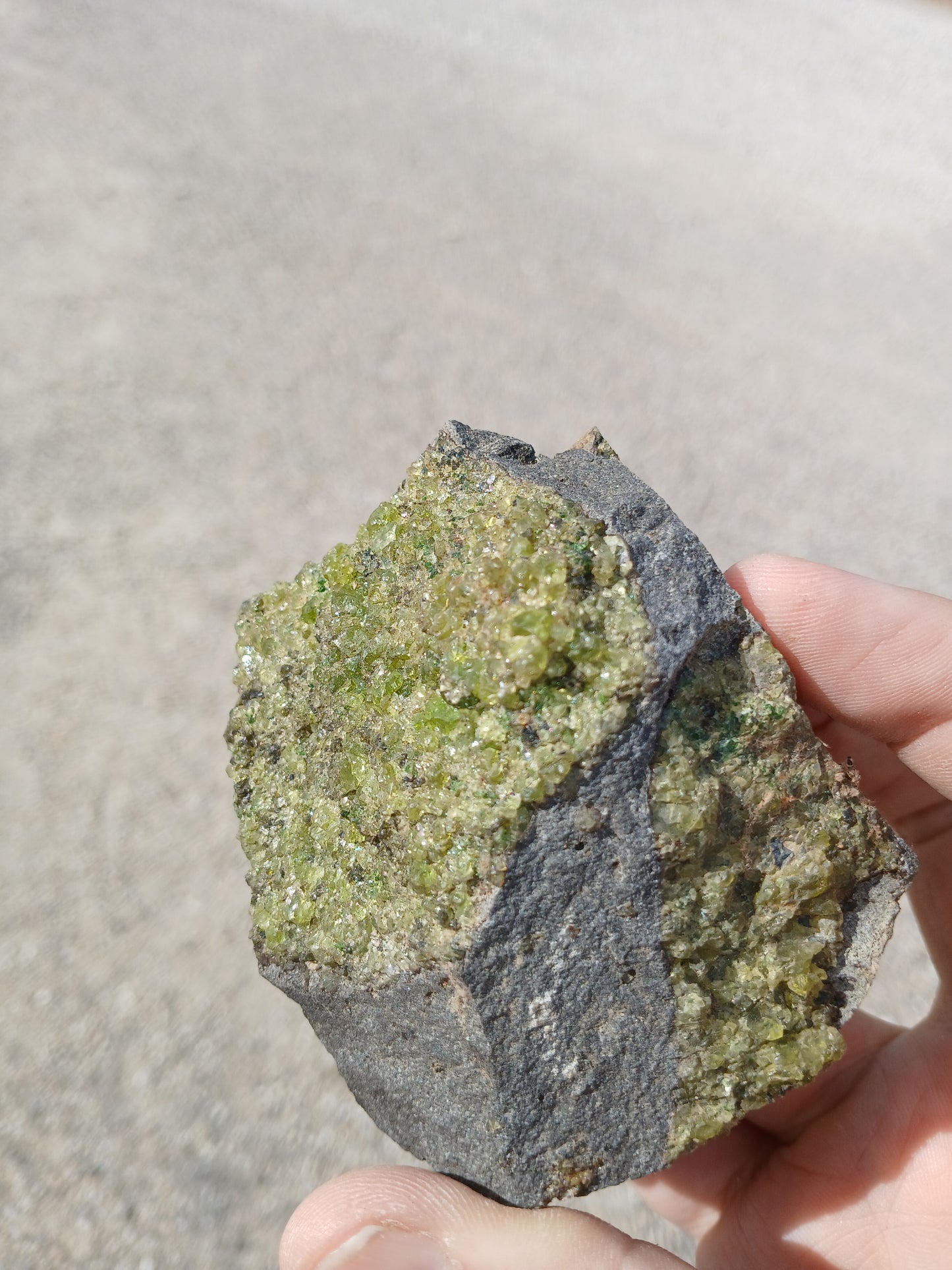 Bright Green Peridot on Basalt