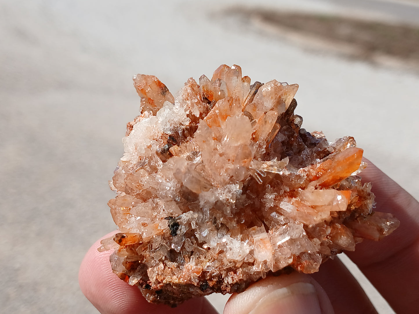 Creedite