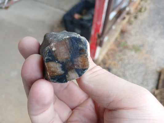 98g Chiastolite (Andalusite) "Cross Stone", Polished One Side