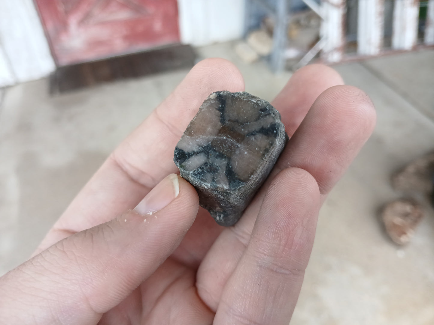 59g Chiastolite (Andalusite) "Cross Stone", Polished One Side