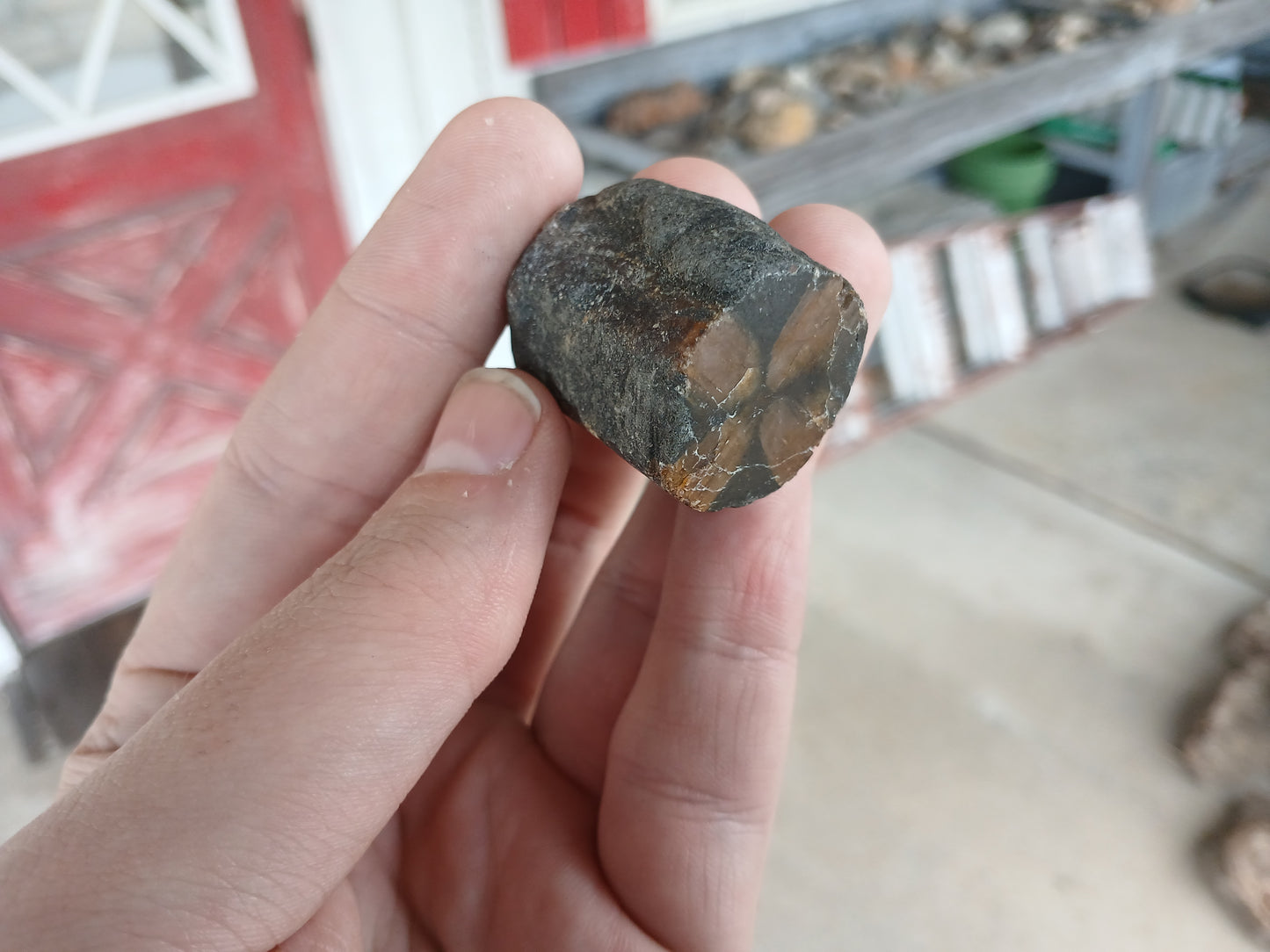 51g Chiastolite (Andalusite) "Cross Stone", Polished One Side