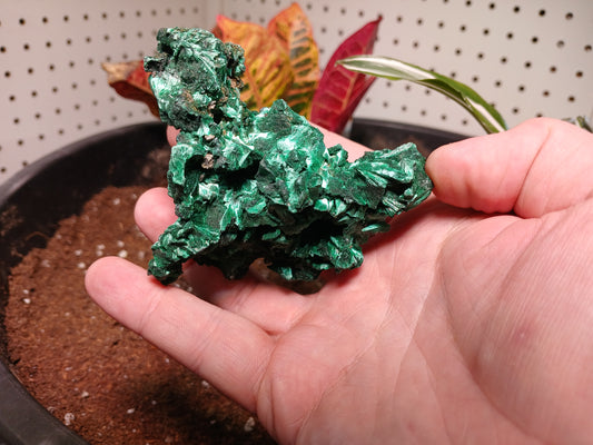 Top Quality Malachite Specimen