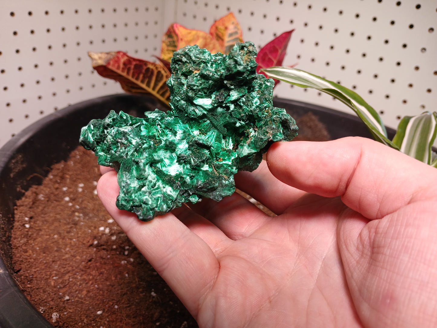 Top Quality Malachite Specimen