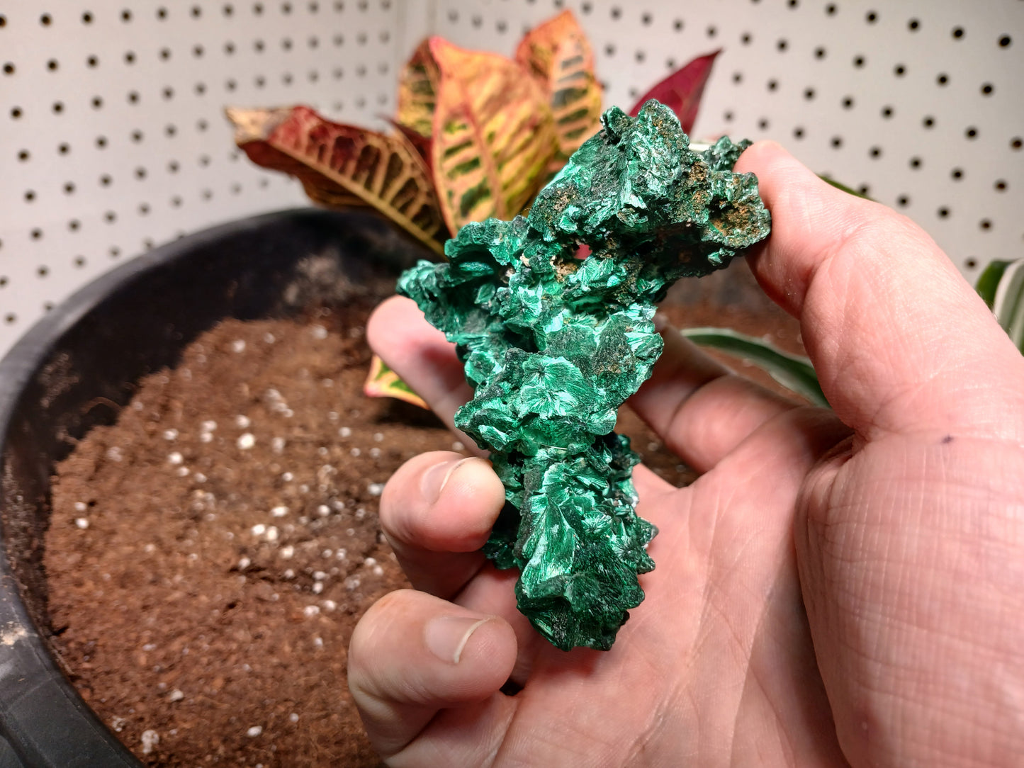 Top Quality Malachite Specimen