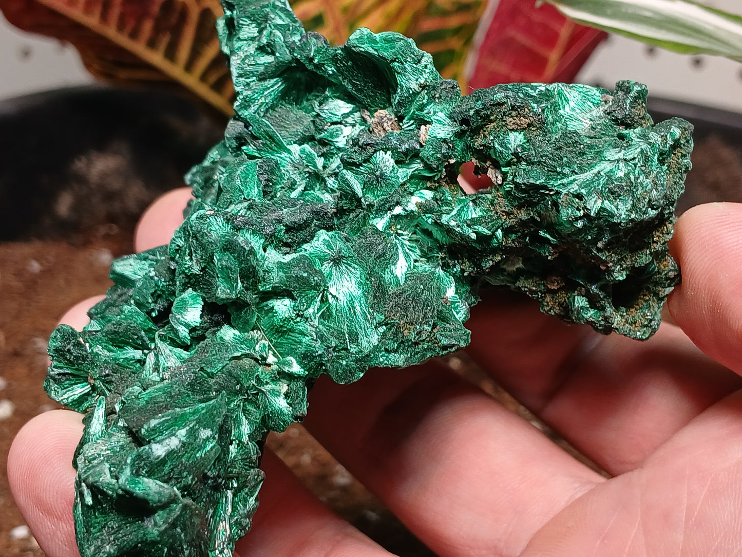 Top Quality Malachite Specimen