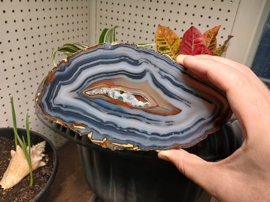 Natural 8x4 Inch Inch Brazilian Agate Slice