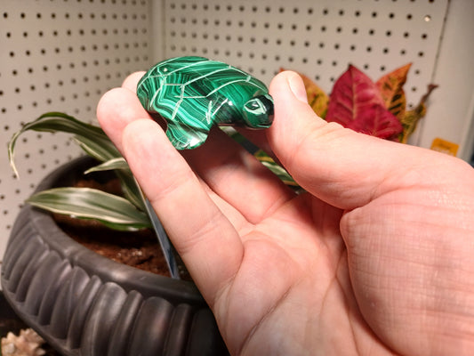 Repaired Malachite Turtle