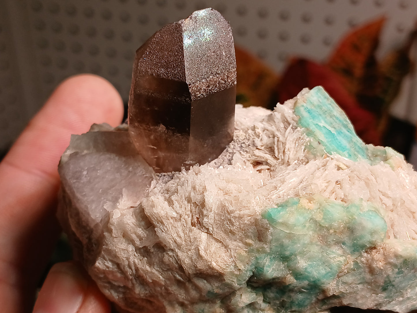 Smoky Quartz, Amazonite, and Clevelandite