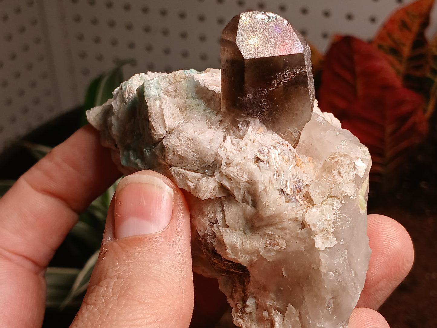 Smoky Quartz, Amazonite, and Clevelandite