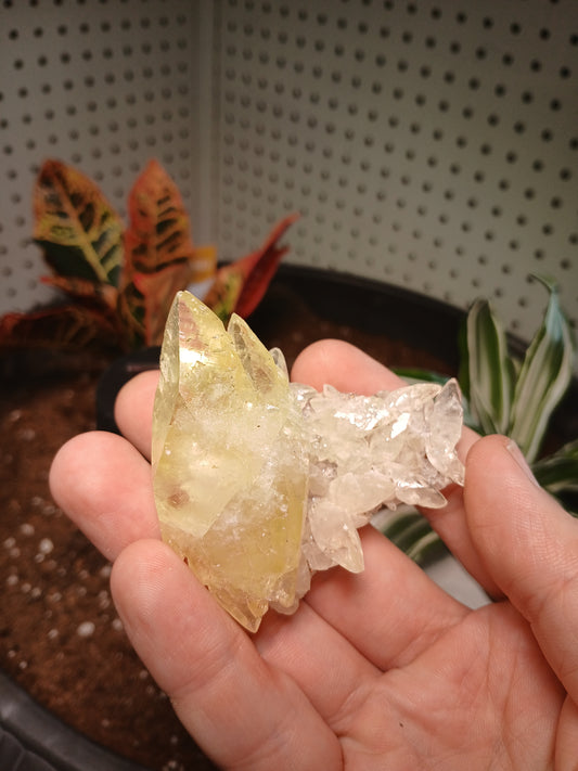 Calcite on Quartz With Chalcopyrite