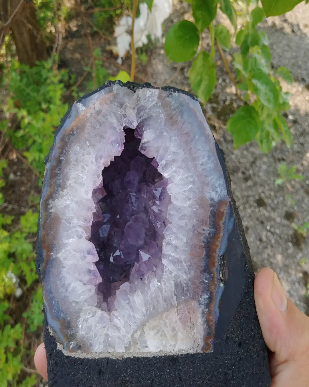 6 Inch Tall Amethyst Cathedral (geode)