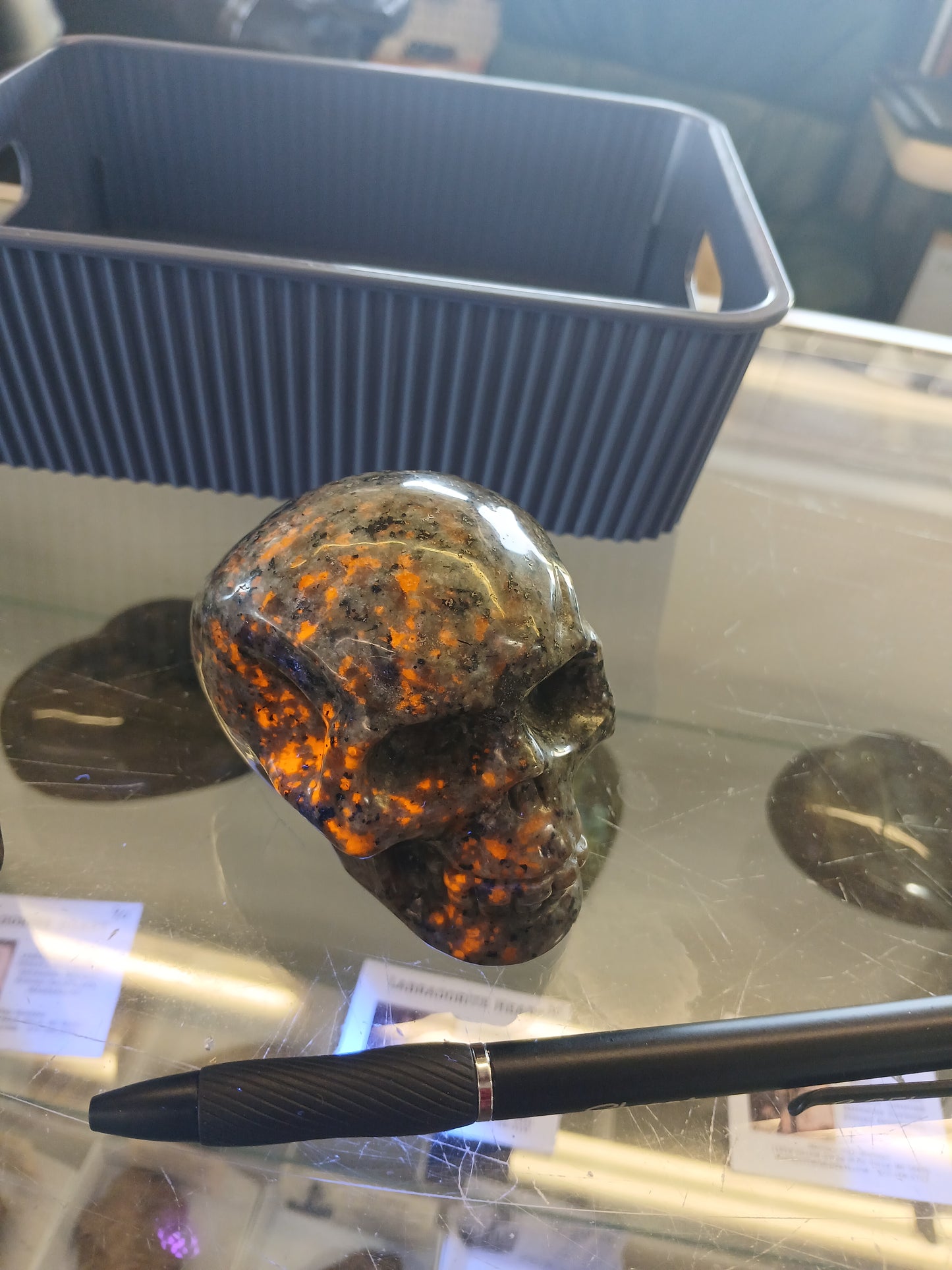 Syenite Skull with Fluorescent Sodalite