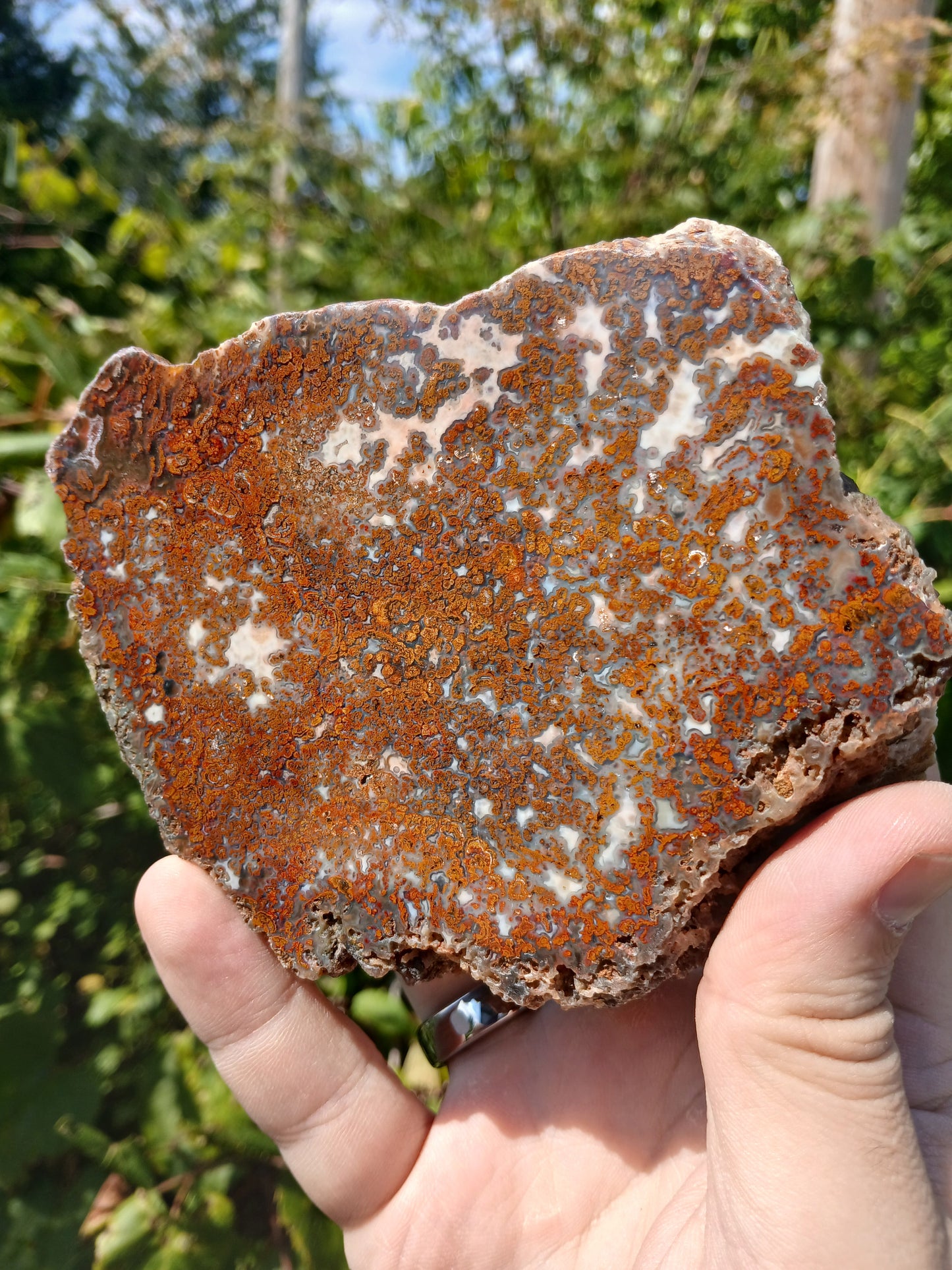Turkish Agate Polished One Side