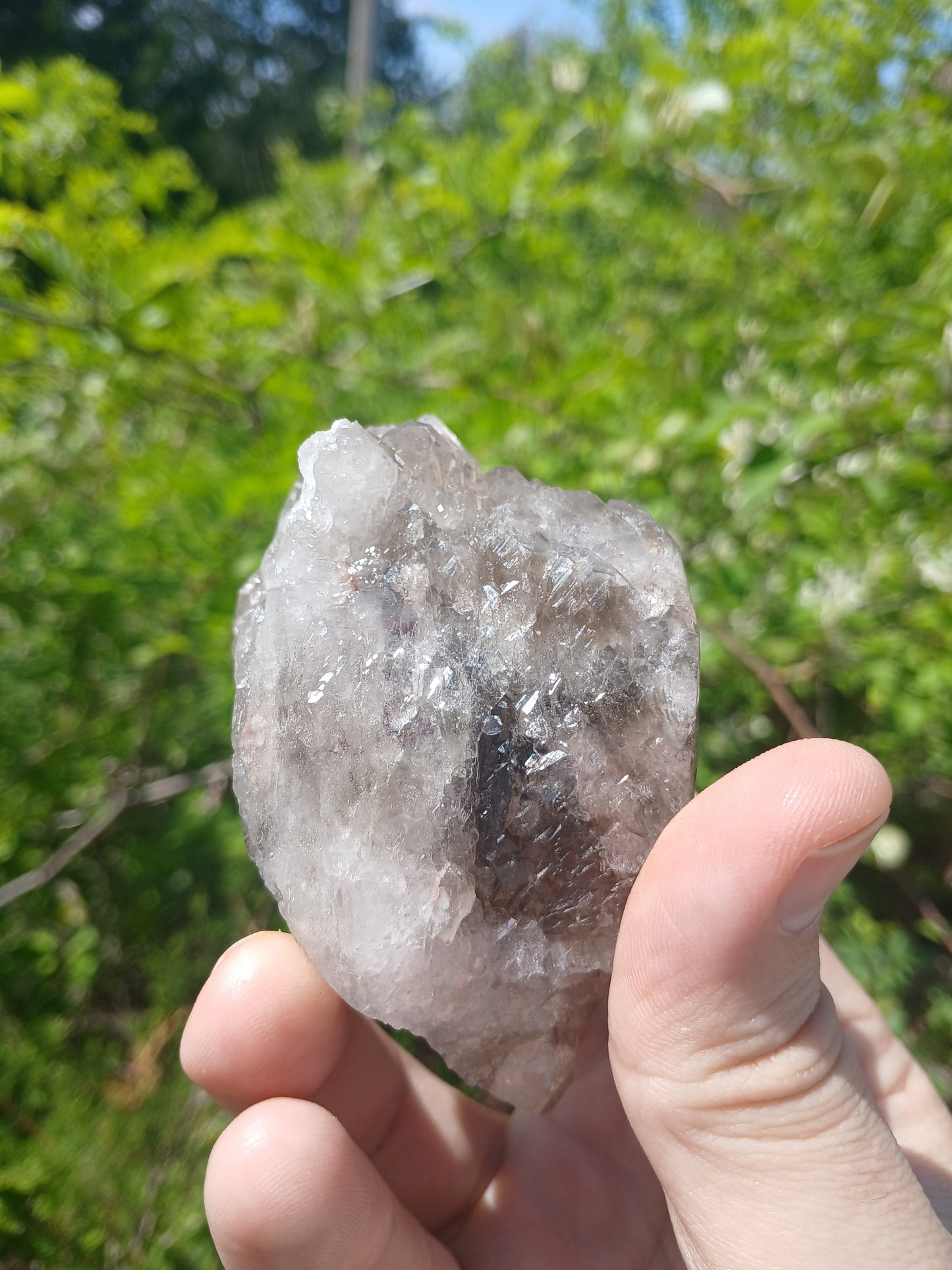 Smoky Quartz "Bouquet" With Minor Goethite