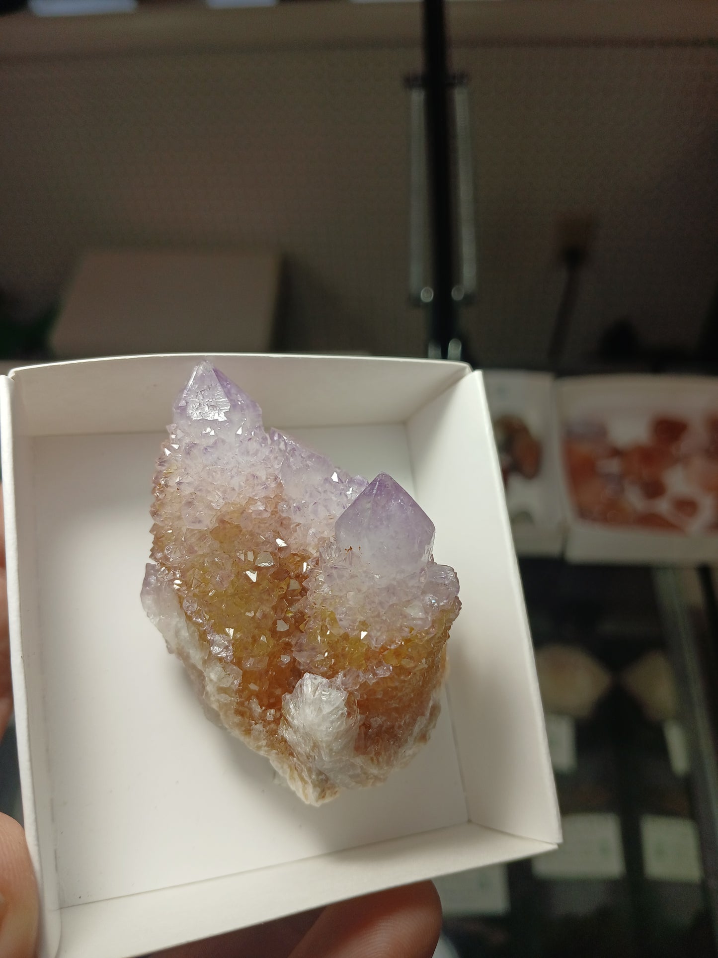 Cactus (Spirit) Quartz