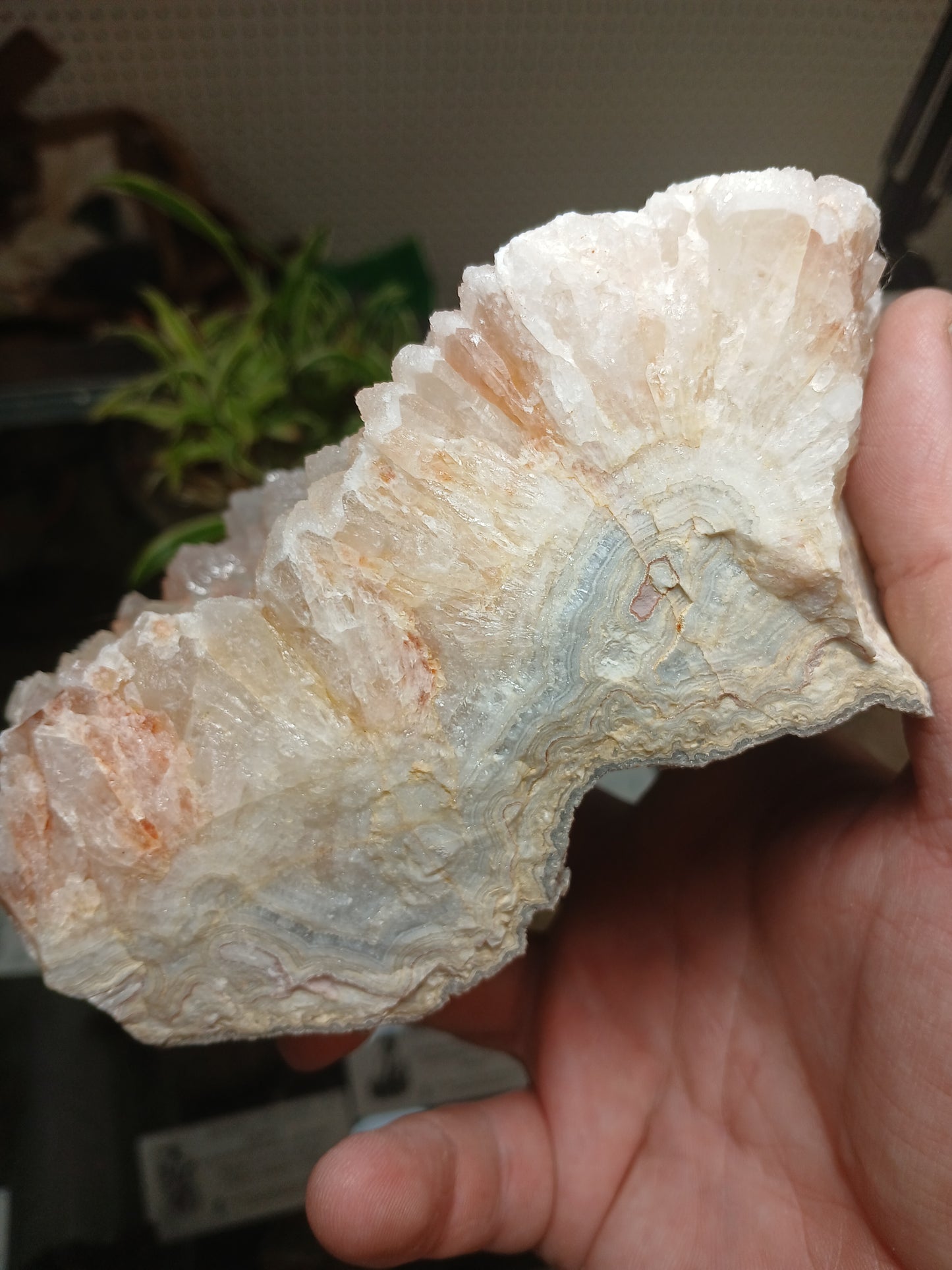 Drusy Coated Quartz on Lace Agate